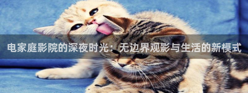 星空影视免费观看电视剧软件