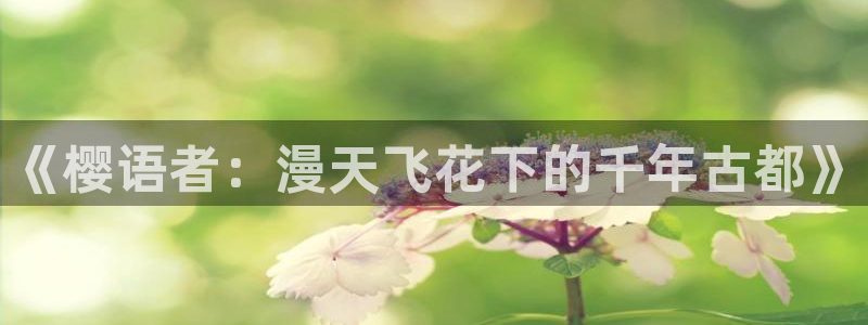 星空影视在线观看全