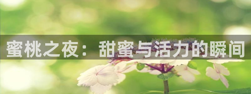 午夜影院电影电视剧在线观看
