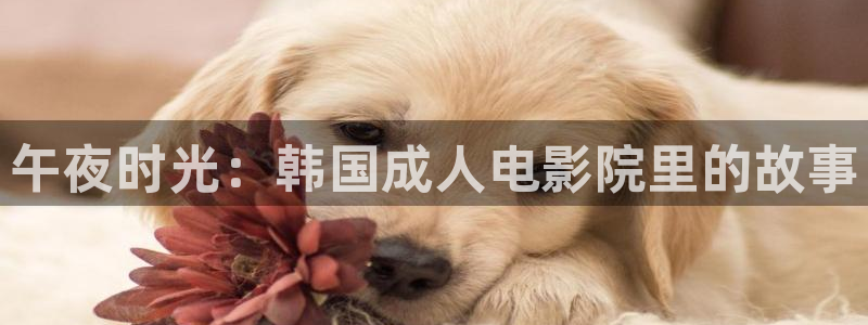 午夜影院电影免费观看