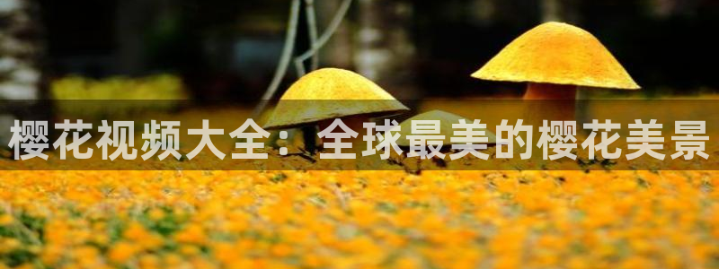 星空图片下载
