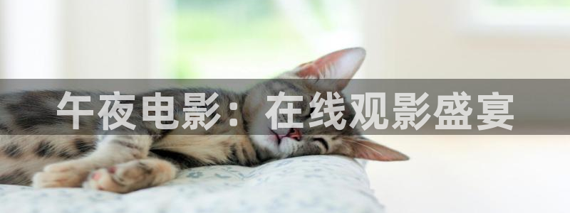 在线影院星空