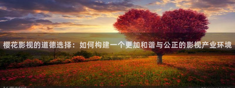 星空无痕mv免费观看高清