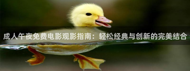 星空无限传媒在线电影
