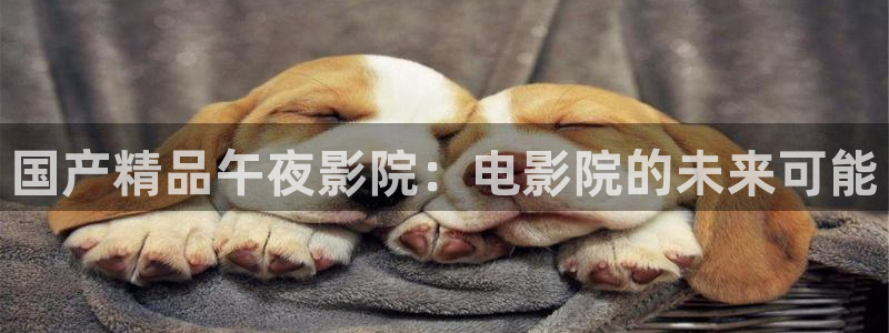 星空视频免费观看电影