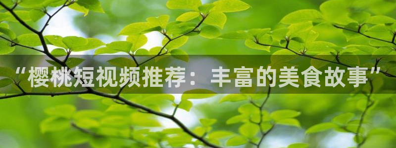 夏至未至电视剧免费观看完整版午夜影院