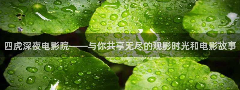 星空视频影视