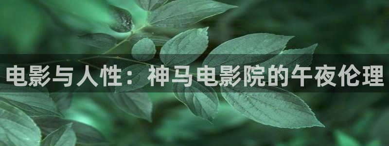 六盘水午夜影院影讯