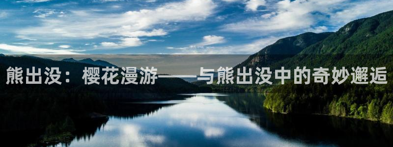 星空影视在线免费观看电影