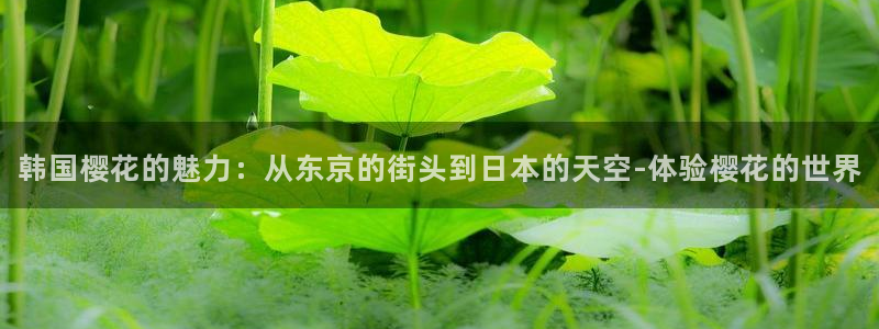 午夜影院电影免费播放